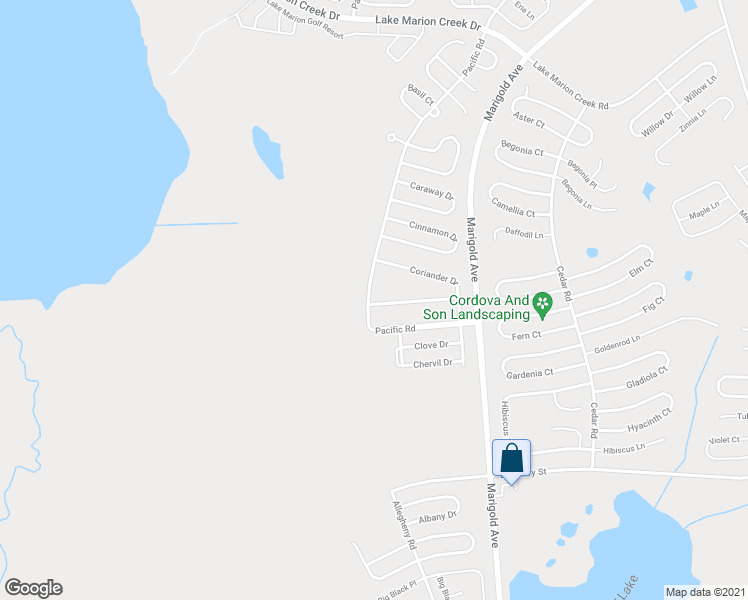 map of restaurants, bars, coffee shops, grocery stores, and more near 1658 Cumin Drive in Kissimmee