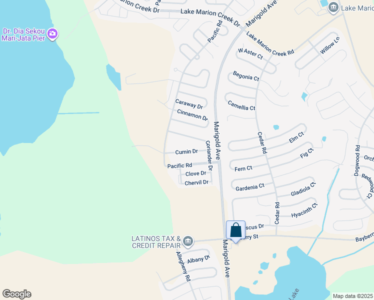 map of restaurants, bars, coffee shops, grocery stores, and more near 1606 Cumin Drive in Kissimmee