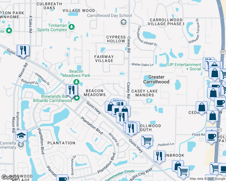 map of restaurants, bars, coffee shops, grocery stores, and more near 11608 Painted Hills Lane in Tampa
