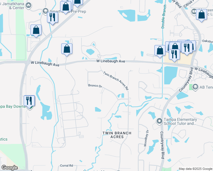 map of restaurants, bars, coffee shops, grocery stores, and more near 12509 Bronco Drive in Tampa