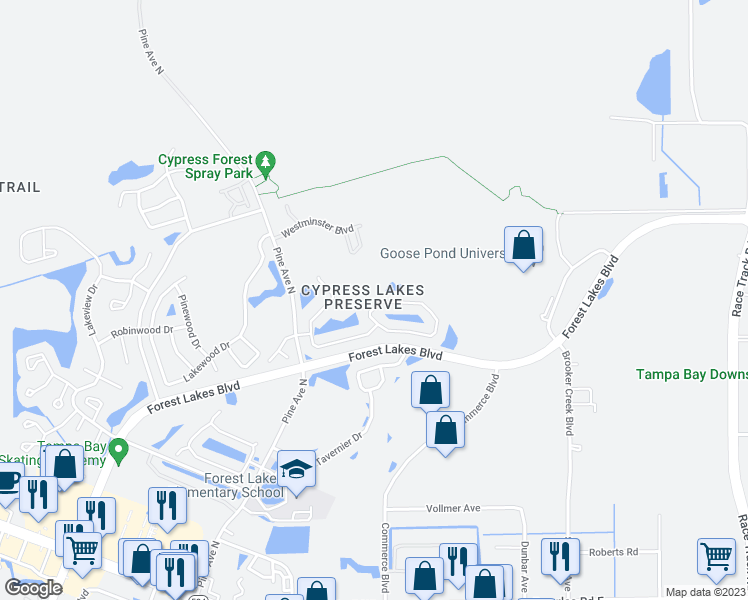 map of restaurants, bars, coffee shops, grocery stores, and more near 618 Lake Cypress Circle in Oldsmar