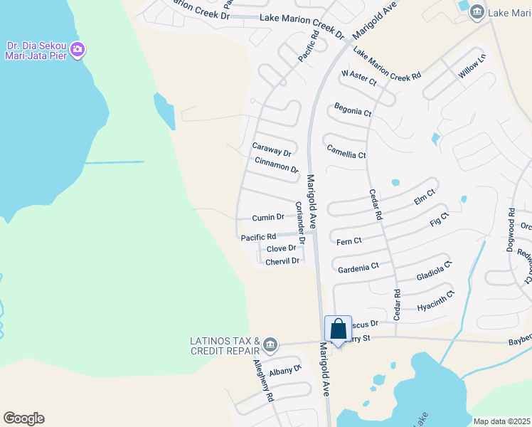 map of restaurants, bars, coffee shops, grocery stores, and more near 1606 Cumin Drive in Kissimmee