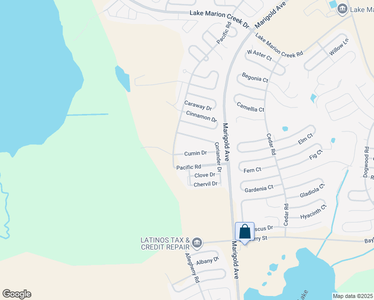 map of restaurants, bars, coffee shops, grocery stores, and more near 1606 Cumin Drive in Kissimmee