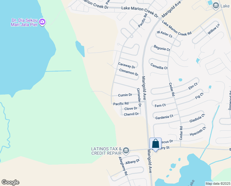 map of restaurants, bars, coffee shops, grocery stores, and more near 1656 Cumin Drive in Kissimmee