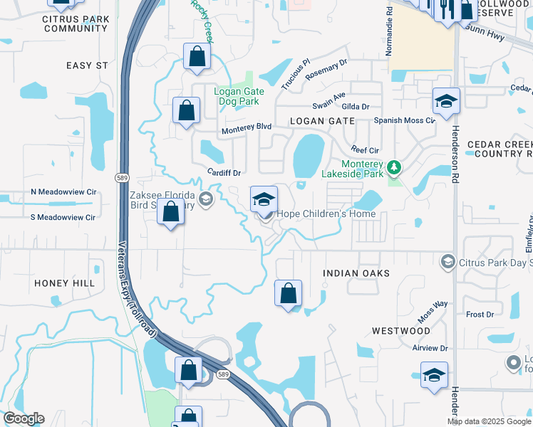 map of restaurants, bars, coffee shops, grocery stores, and more near 11415 Hope International Drive in Tampa