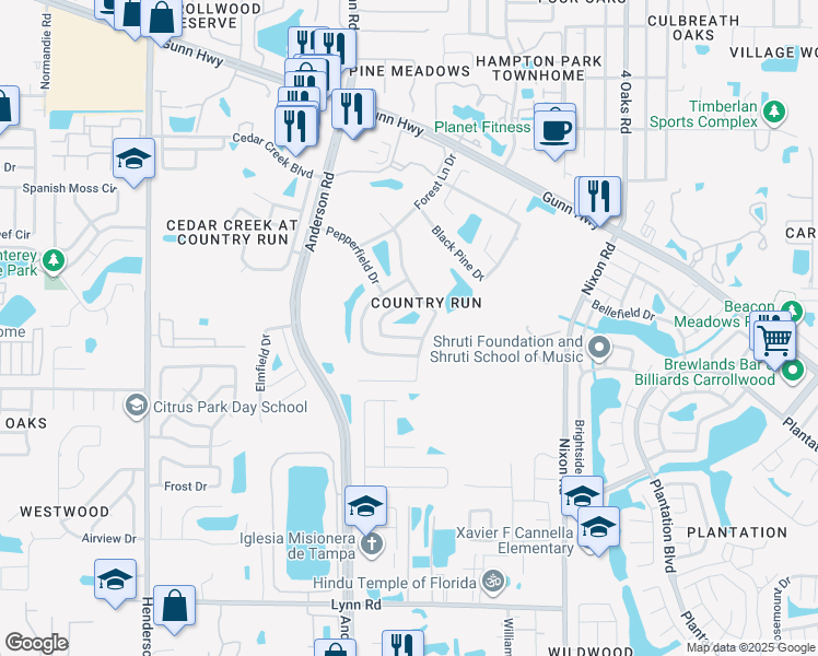 map of restaurants, bars, coffee shops, grocery stores, and more near 12307 Hidden Brook Drive in Tampa