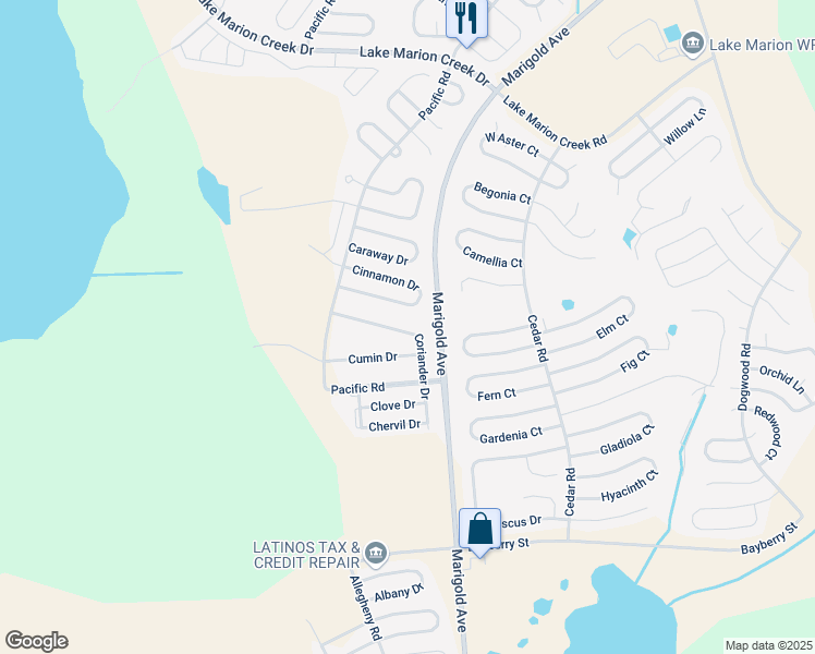 map of restaurants, bars, coffee shops, grocery stores, and more near 441 Cinnamon Drive in Kissimmee