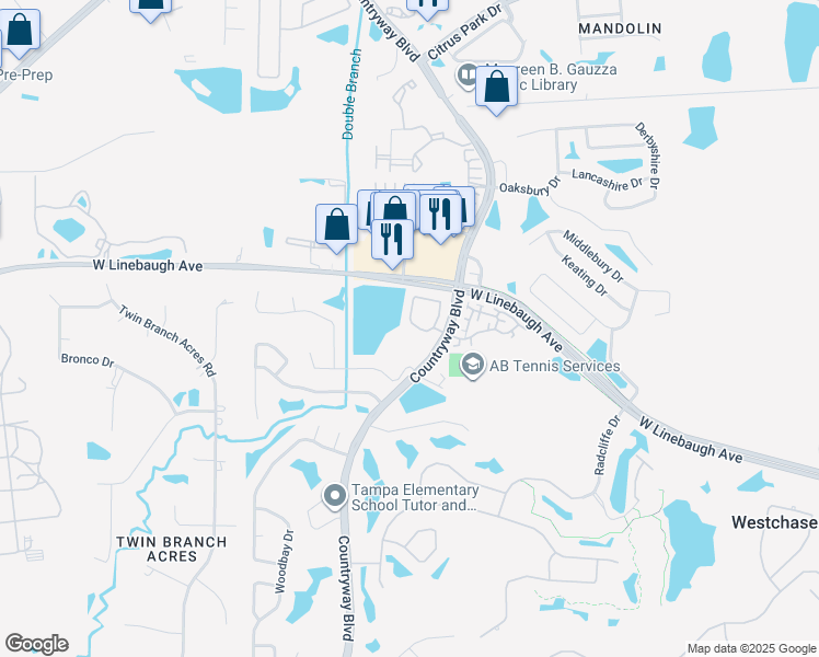 map of restaurants, bars, coffee shops, grocery stores, and more near 12362 Berkeley Square Drive in Tampa
