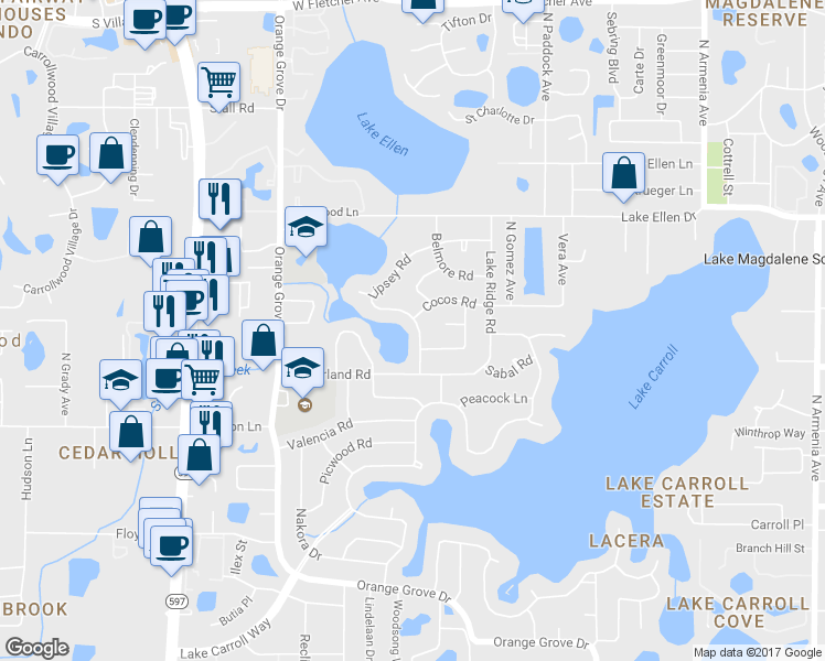 map of restaurants, bars, coffee shops, grocery stores, and more near 11606 Lipsey Road in Tampa