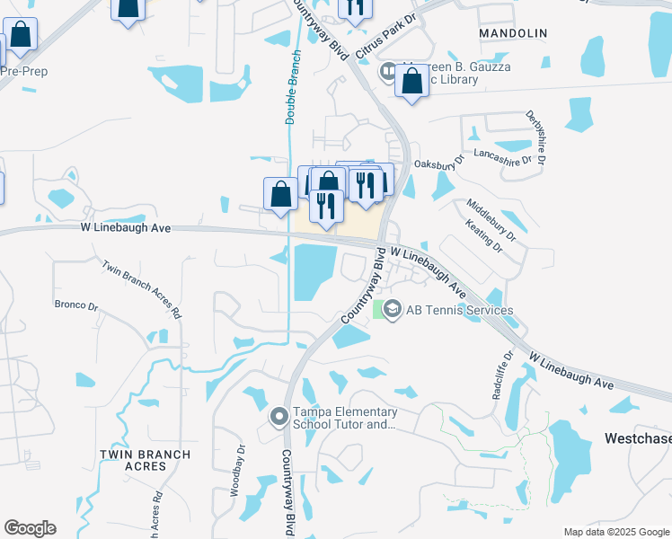 map of restaurants, bars, coffee shops, grocery stores, and more near 12362 Berkeley Square Drive in Tampa