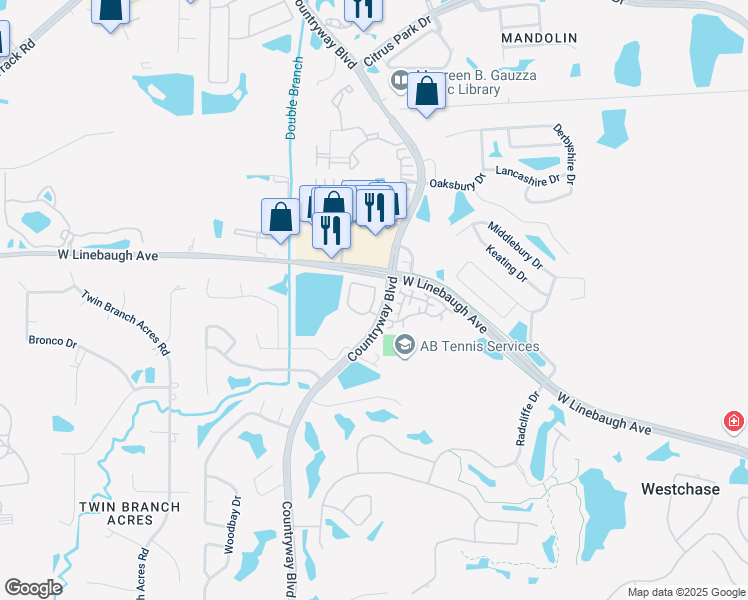 map of restaurants, bars, coffee shops, grocery stores, and more near 12475 Berkeley Square Drive in Tampa