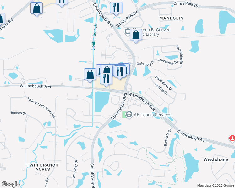 map of restaurants, bars, coffee shops, grocery stores, and more near 12430 Berkeley Square Drive in Tampa