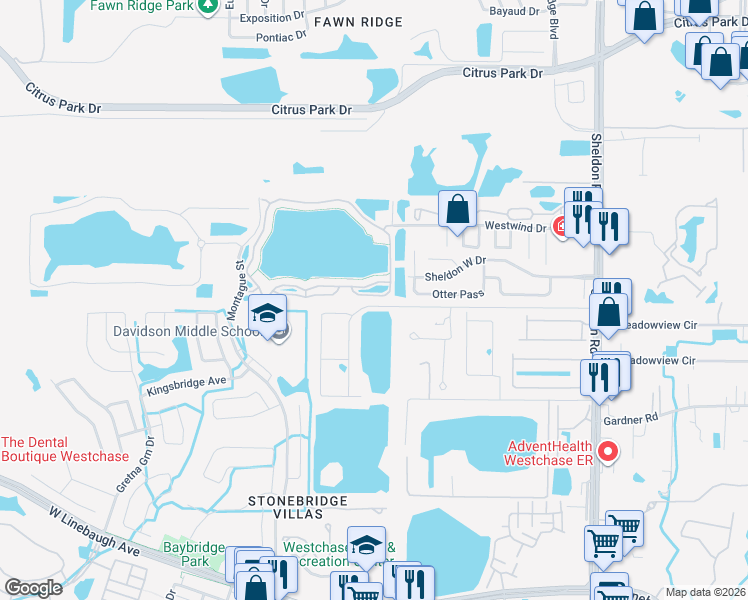 map of restaurants, bars, coffee shops, grocery stores, and more near 9732 Lake Chase Island Way in Tampa