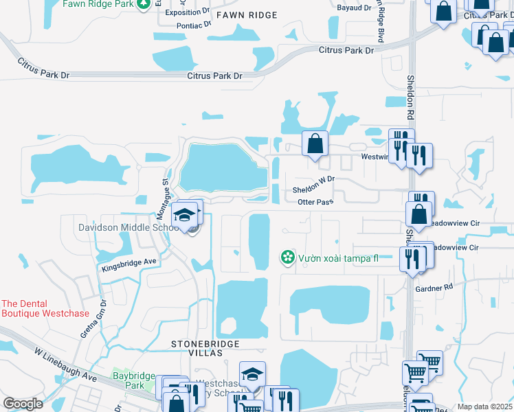 map of restaurants, bars, coffee shops, grocery stores, and more near 9732 Lake Chase Island Way in Tampa