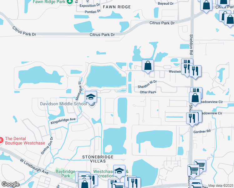 map of restaurants, bars, coffee shops, grocery stores, and more near 9732 Lake Chase Island Way in Tampa