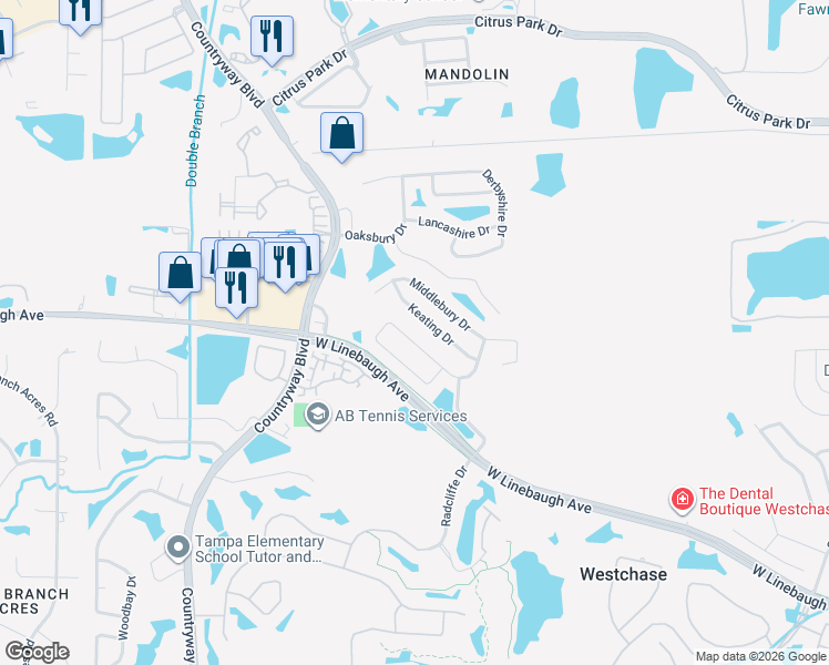 map of restaurants, bars, coffee shops, grocery stores, and more near 11939 Wandsworth Drive in Tampa