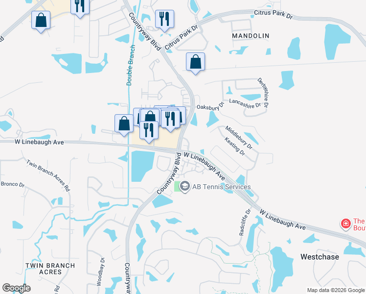 map of restaurants, bars, coffee shops, grocery stores, and more near 12049 West Linebaugh Avenue in Tampa