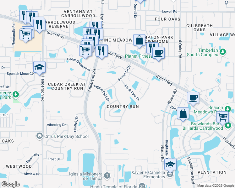 map of restaurants, bars, coffee shops, grocery stores, and more near 12423 Hidden Brook Drive in Tampa