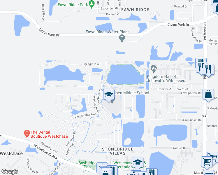 map of restaurants, bars, coffee shops, grocery stores, and more near 9506 Lake Chase Island Way in Tampa