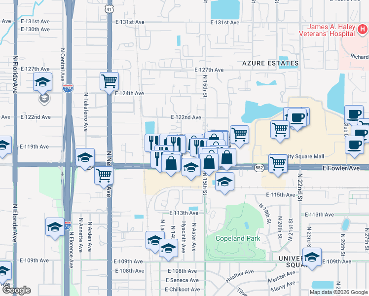 map of restaurants, bars, coffee shops, grocery stores, and more near 11715 North 14th Street in Tampa