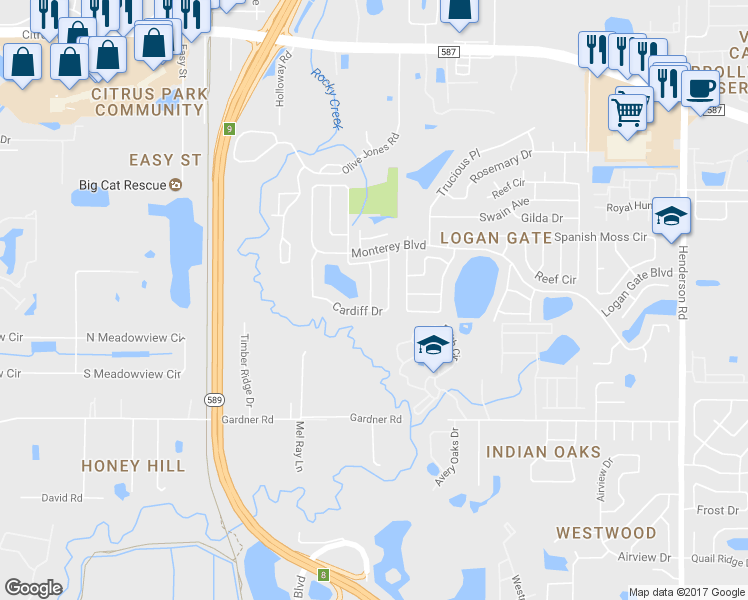 map of restaurants, bars, coffee shops, grocery stores, and more near 12503 Brucie Place in Tampa