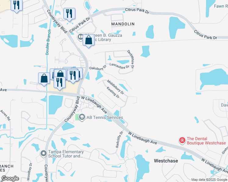 map of restaurants, bars, coffee shops, grocery stores, and more near 11917 Keating Drive in Tampa