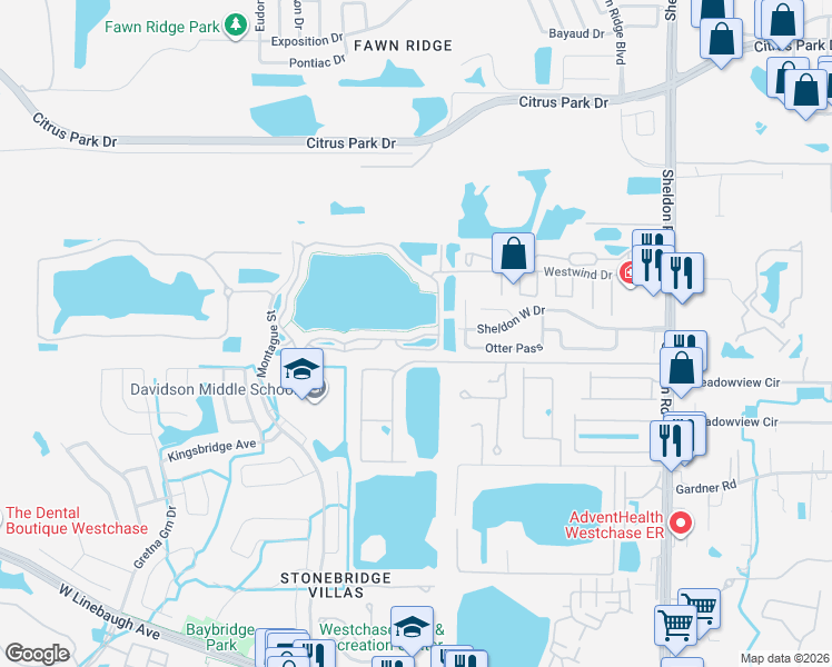 map of restaurants, bars, coffee shops, grocery stores, and more near 9732 Lake Chase Island Way in Tampa