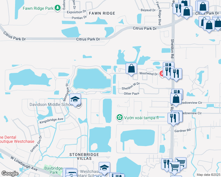 map of restaurants, bars, coffee shops, grocery stores, and more near 9850 Lake Chase Island Way in Tampa