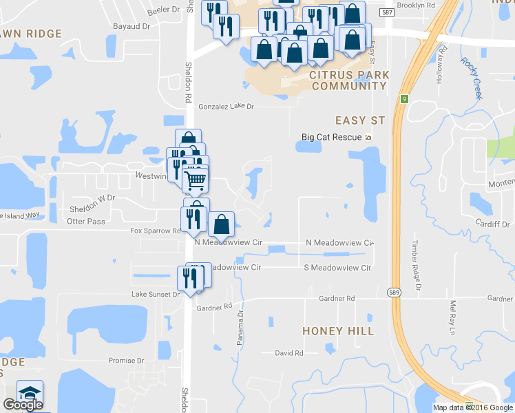 map of restaurants, bars, coffee shops, grocery stores, and more near 12005 Citrus Falls Circle in Tampa