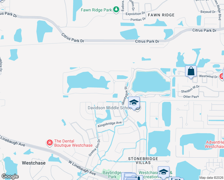 map of restaurants, bars, coffee shops, grocery stores, and more near 9919 Tree Tops Lake Road in Tampa