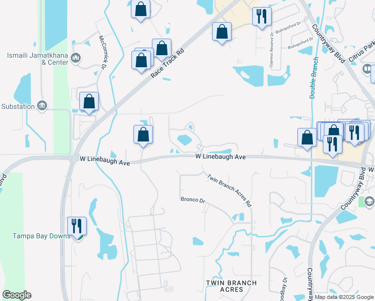 map of restaurants, bars, coffee shops, grocery stores, and more near 12951 West Linebaugh Avenue in Tampa