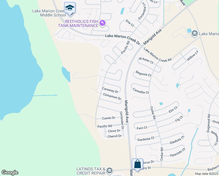 map of restaurants, bars, coffee shops, grocery stores, and more near 442 Caraway Drive in Kissimmee