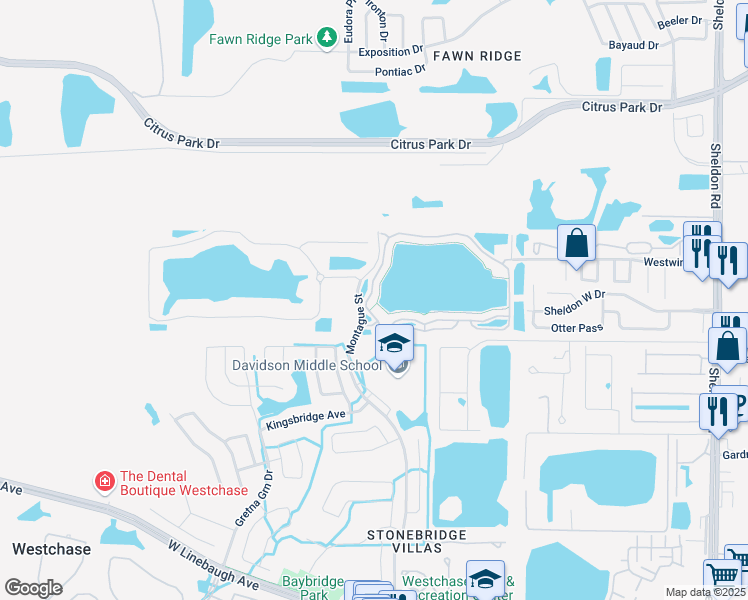map of restaurants, bars, coffee shops, grocery stores, and more near 9348 Lake Chase Island Way in Tampa