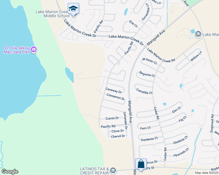 map of restaurants, bars, coffee shops, grocery stores, and more near 405 Caraway Drive in Kissimmee