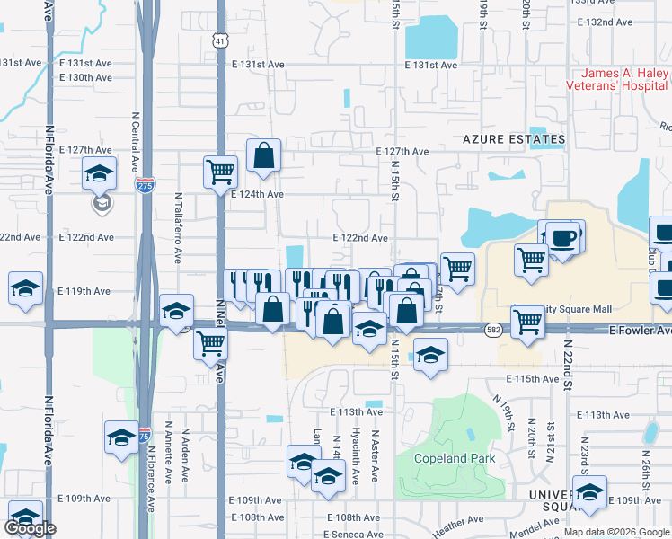 map of restaurants, bars, coffee shops, grocery stores, and more near 11733 North 12th Street in Tampa