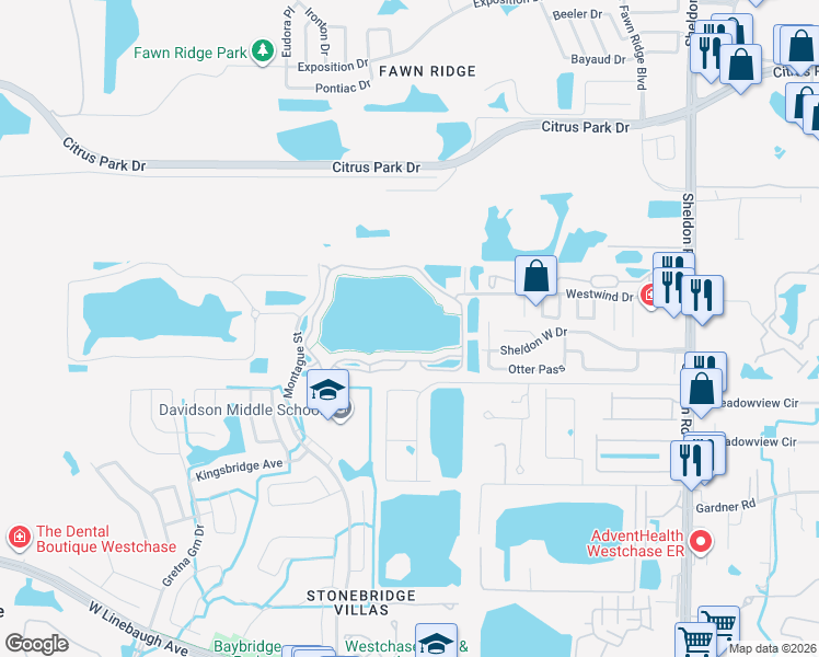map of restaurants, bars, coffee shops, grocery stores, and more near 9534 Lake Chase Island Way in Tampa