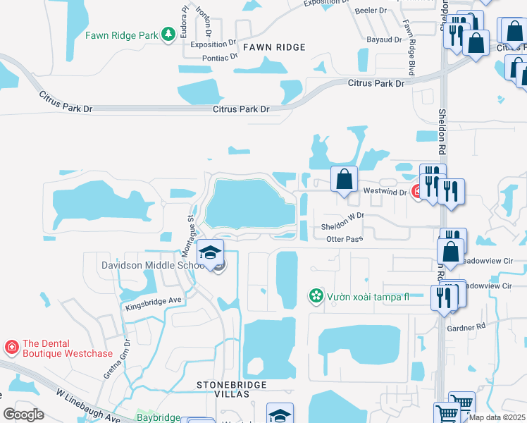 map of restaurants, bars, coffee shops, grocery stores, and more near 9534 Lake Chase Island Way in Tampa