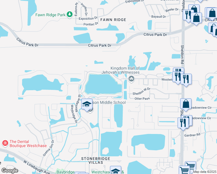 map of restaurants, bars, coffee shops, grocery stores, and more near 10560 Windsor Lake Court in Tampa