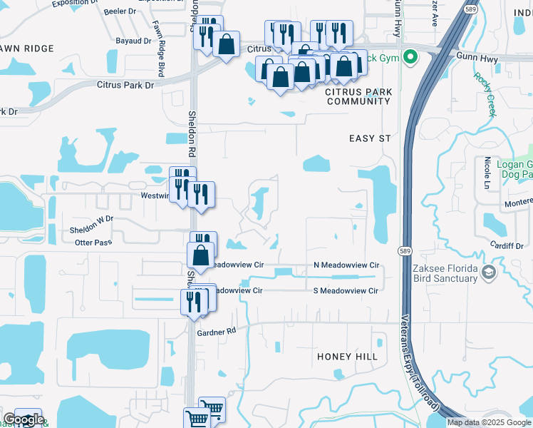 map of restaurants, bars, coffee shops, grocery stores, and more near 12063 Citrus Falls Circle in Tampa