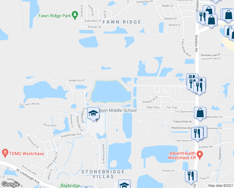 map of restaurants, bars, coffee shops, grocery stores, and more near 9818 Lake Chase Island Way in Tampa