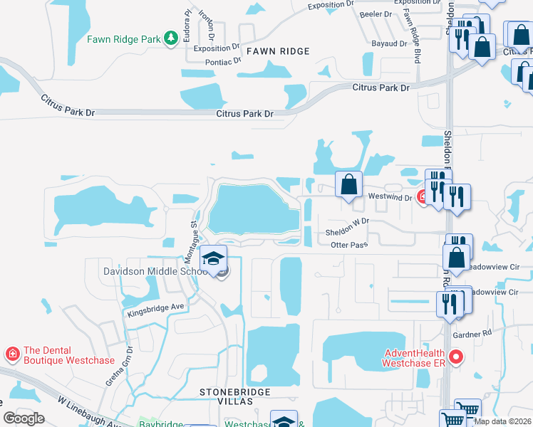 map of restaurants, bars, coffee shops, grocery stores, and more near 9534 Lake Chase Island Way in Tampa