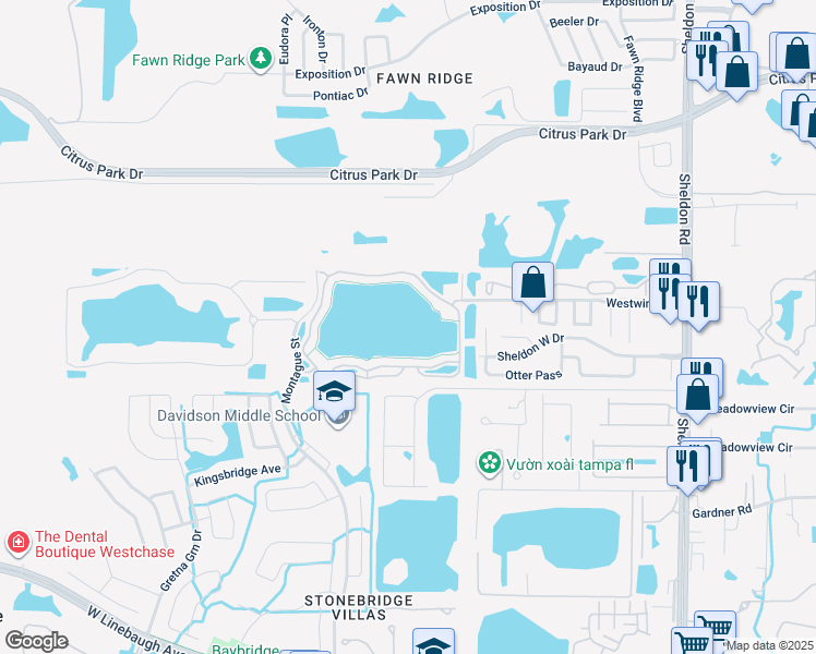 map of restaurants, bars, coffee shops, grocery stores, and more near 9534 Lake Chase Island Way in Tampa