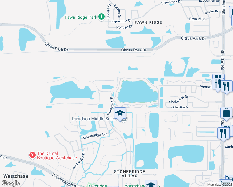 map of restaurants, bars, coffee shops, grocery stores, and more near 9348 Lake Chase Island Way in Tampa
