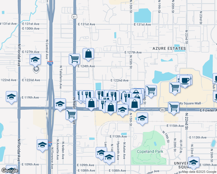 map of restaurants, bars, coffee shops, grocery stores, and more near 11733 North 12th Street in Tampa