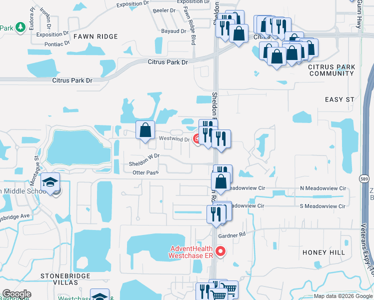 map of restaurants, bars, coffee shops, grocery stores, and more near 11920 Dietz Drive in Tampa