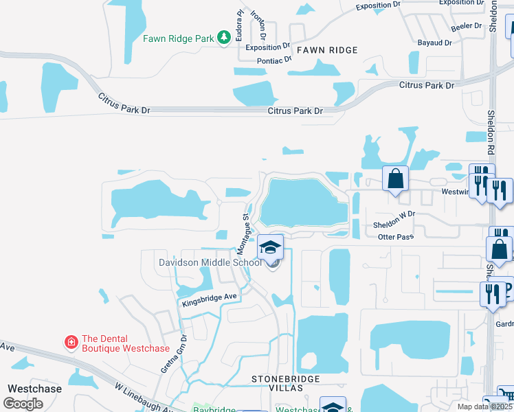 map of restaurants, bars, coffee shops, grocery stores, and more near 9348 Lake Chase Island Way in Tampa