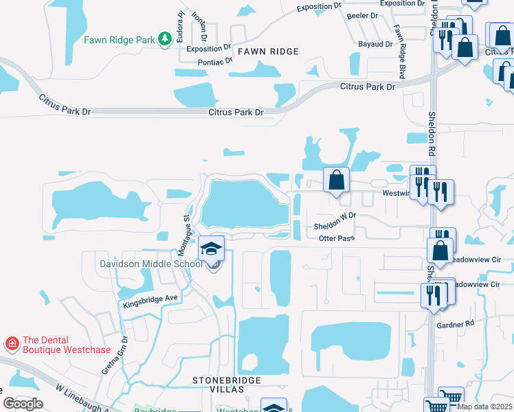 map of restaurants, bars, coffee shops, grocery stores, and more near 9534 Lake Chase Island Way in Tampa