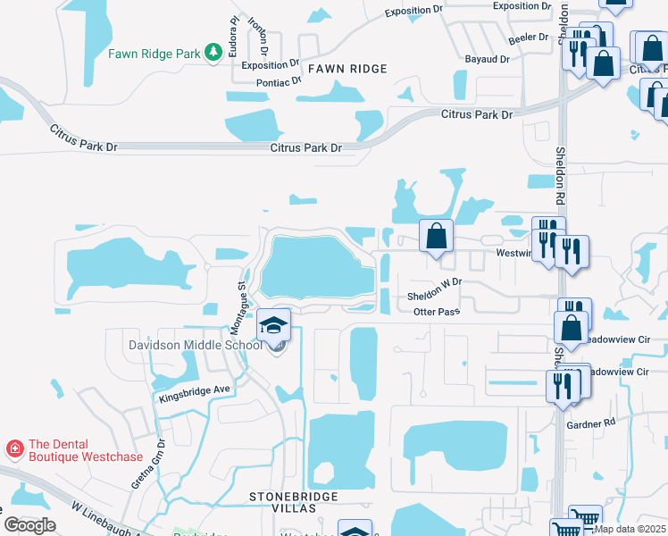 map of restaurants, bars, coffee shops, grocery stores, and more near 9348 Lake Chase Island Way in Tampa