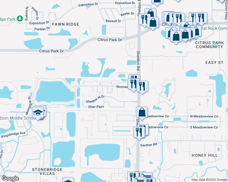 map of restaurants, bars, coffee shops, grocery stores, and more near 11915 Congressional Drive in Tampa