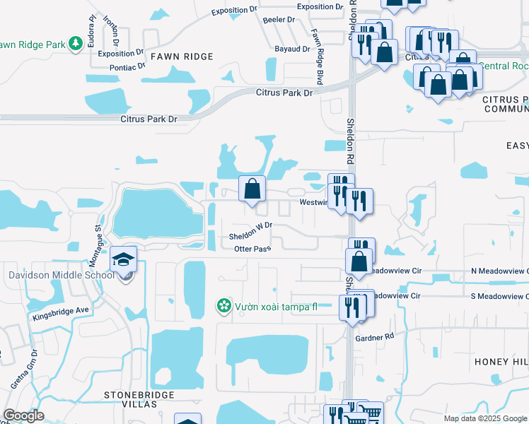 map of restaurants, bars, coffee shops, grocery stores, and more near 11902 Cypress Hill Circle in Tampa